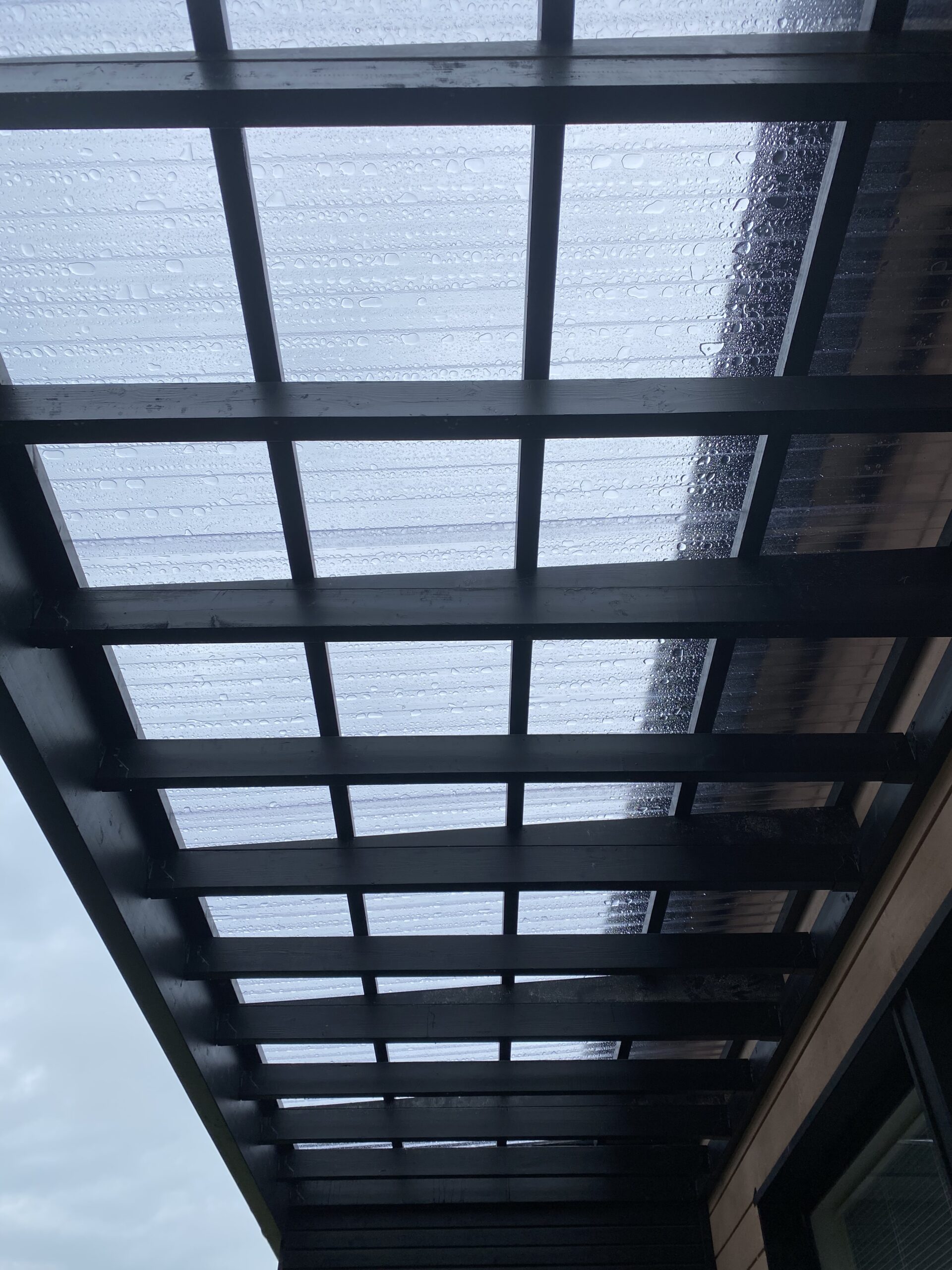 Home img 0019